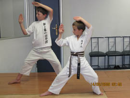 saids karate 2